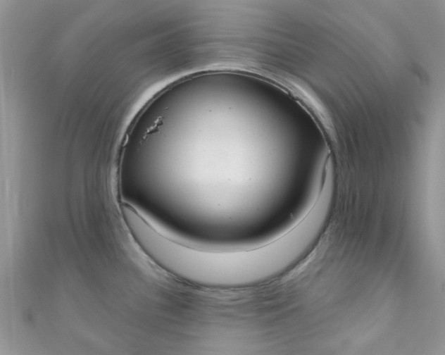 X0000111021340200907022150
