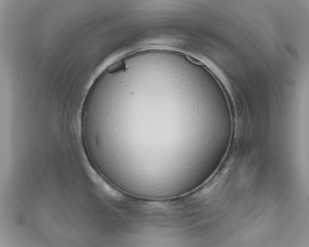X0000111021341200907022150