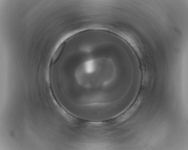 X0000111021342200907022150