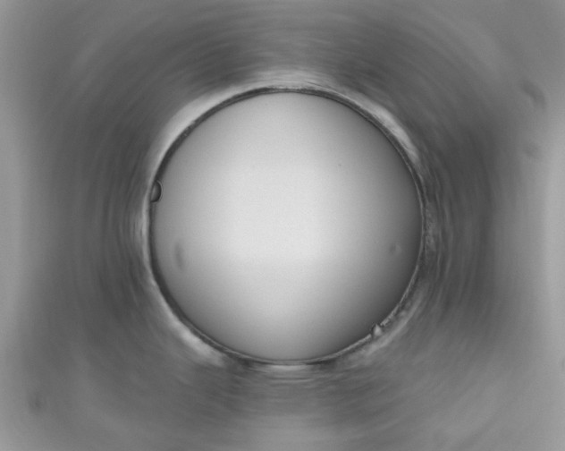 X0000111021343200907022150