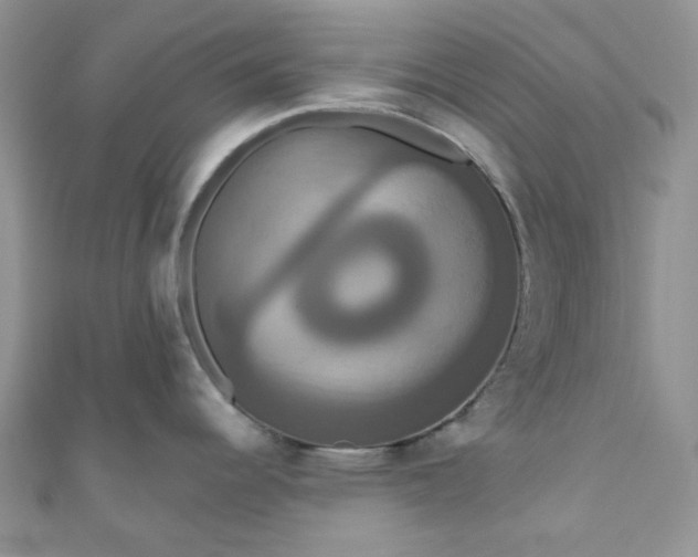 X0000111021344200907022150