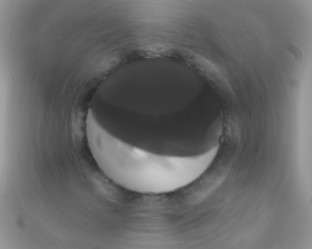 X0000111021346200907022150