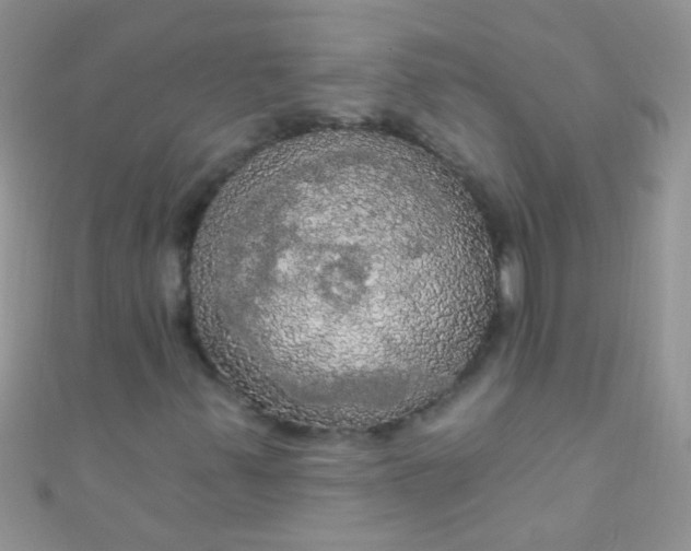 X0000111021347200907022150