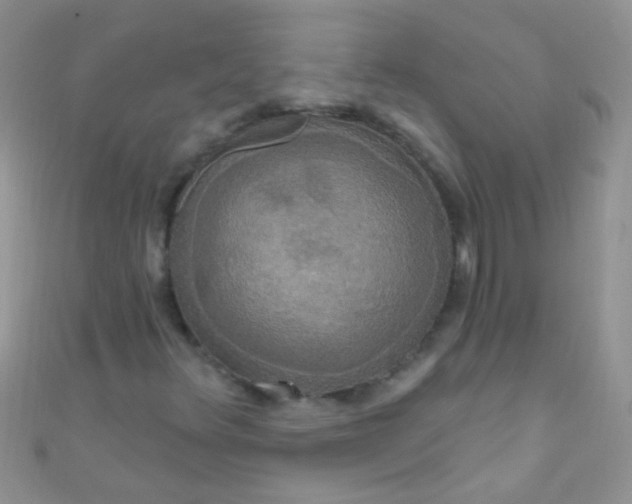 X0000111021348200907022150