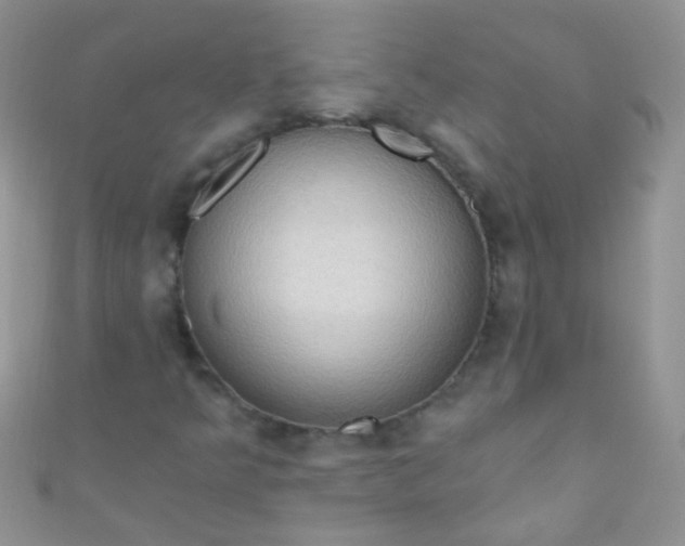 X0000111021349200907022150