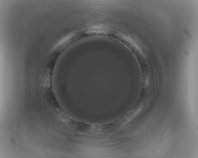 X0000111021350200907022150