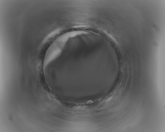 X0000111021351200907022150