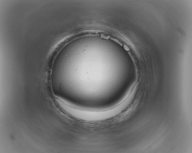 X0000111021352200907022150