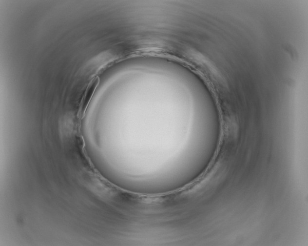 X0000111021353200907022150