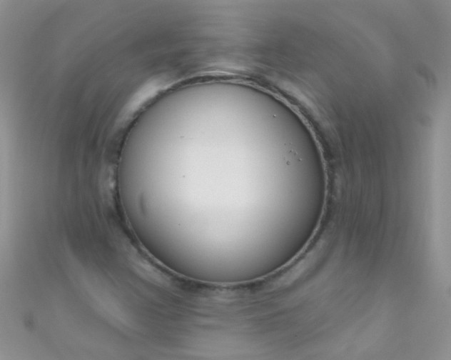 X0000111021355200907022150