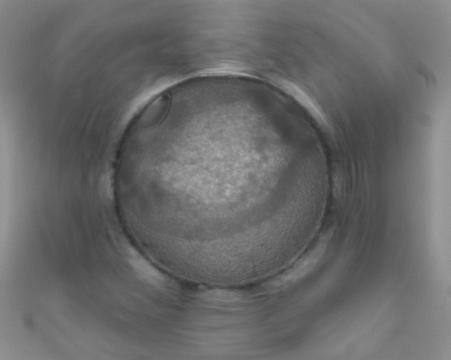 X0000111021356200907022150