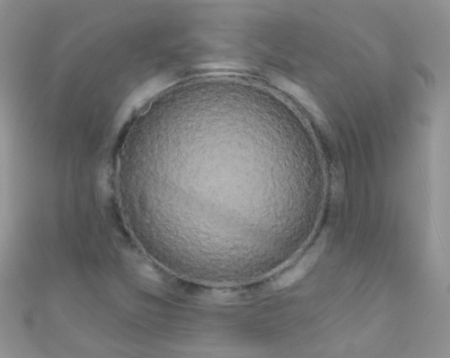 X0000111021357200907022150