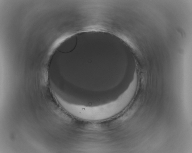 X0000111021358200907022150
