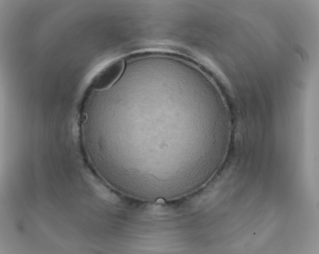 X0000111021360200907022150