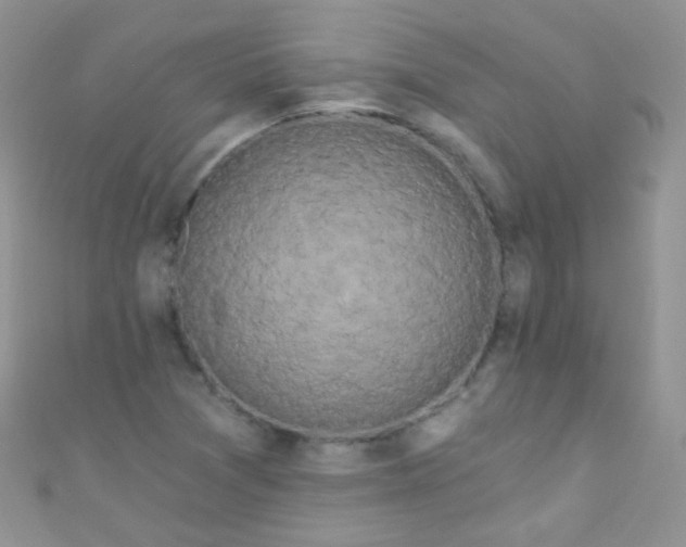 X0000111021361200907022150