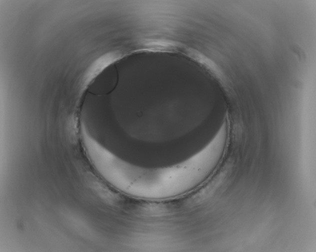 X0000111021362200907022150