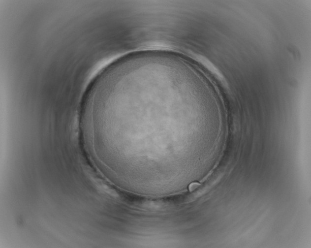 X0000111021364200907022150