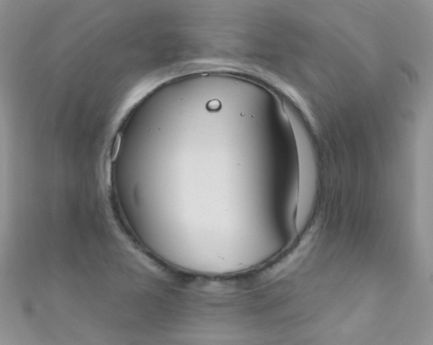 X0000111021365200907022150