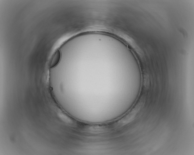 X0000111021366200907022150