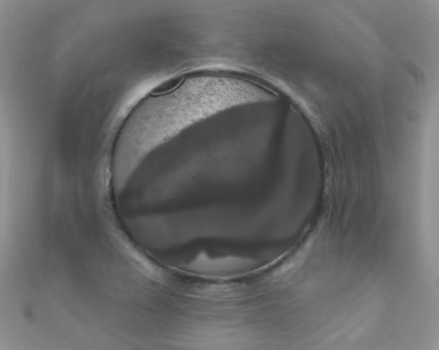 X0000111021367200907022150