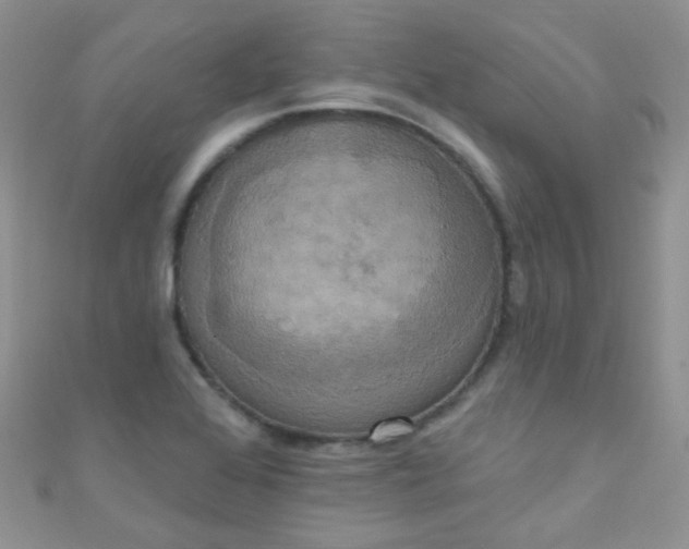 X0000111021368200907022149