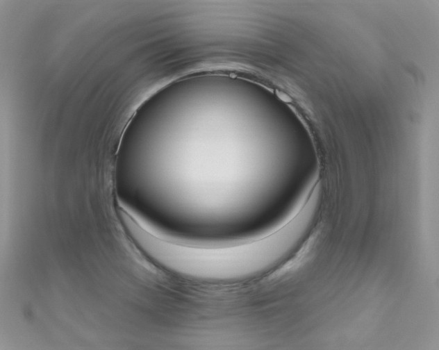 X0000111021369200907022149