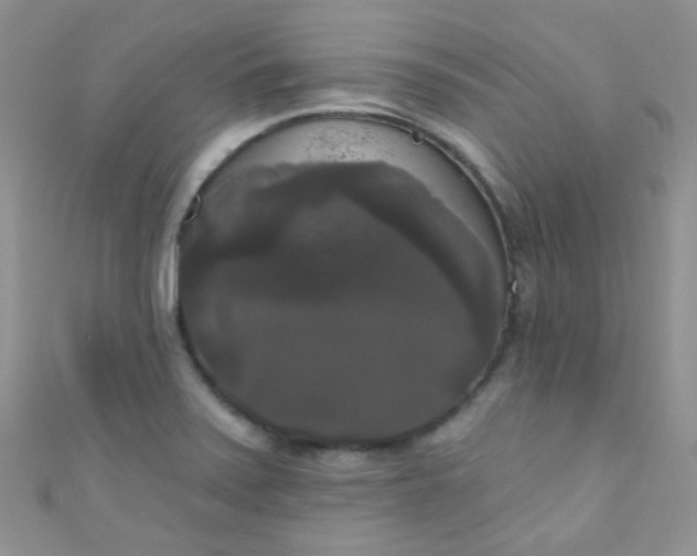 X0000111021371200907022149