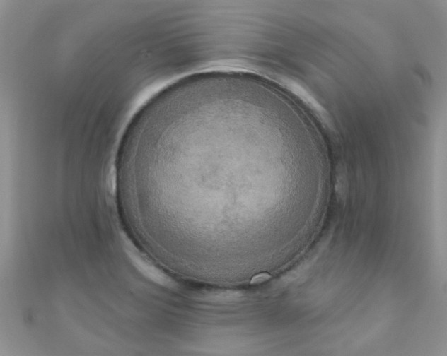 X0000111021372200907022149