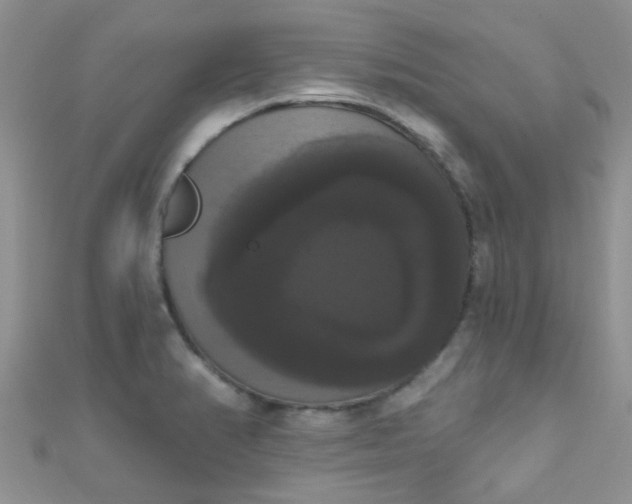 X0000111021374200907022149