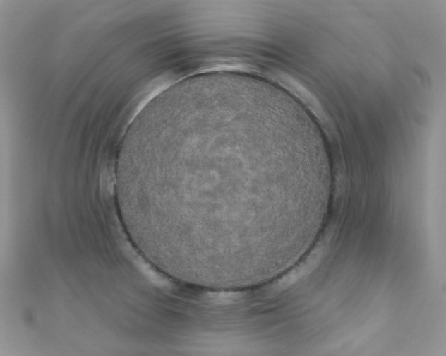 X0000111021377200907022149