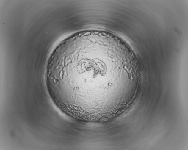 X0000111021379200907022149