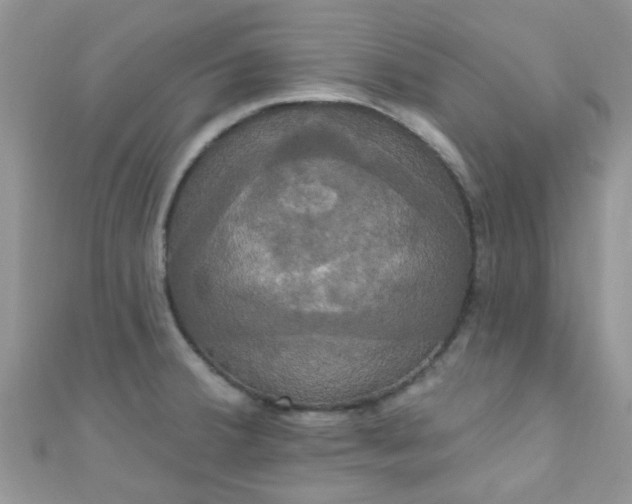 X0000111021380200907022149