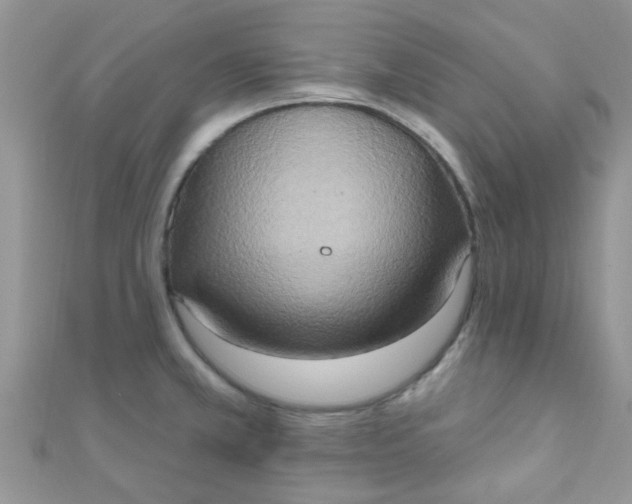 X0000111021381200907022149