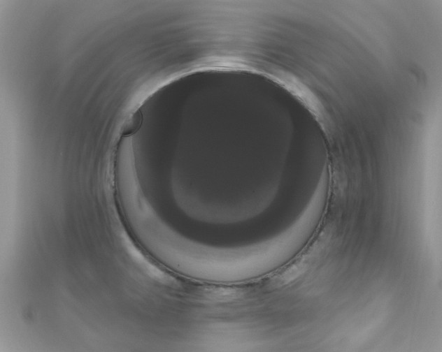 X0000111021382200907022149