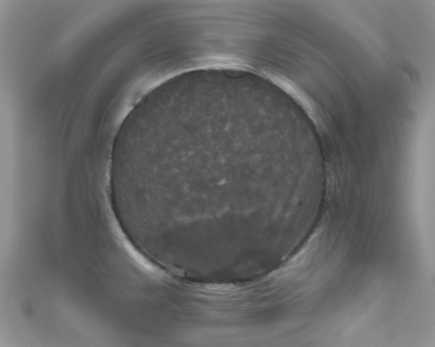 X0000111021383200907022149