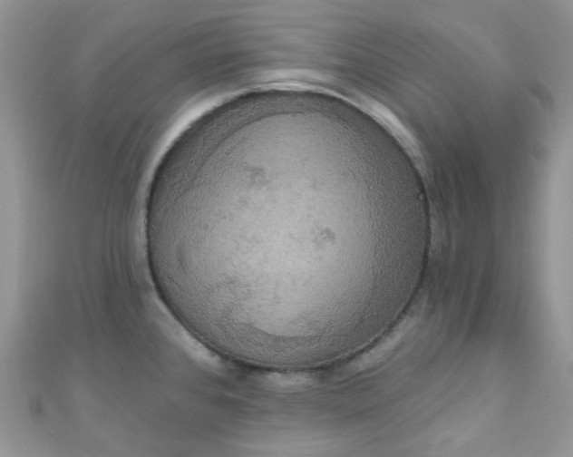 X0000111021384200907022149