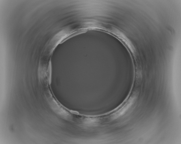 X0000111021385200907022149