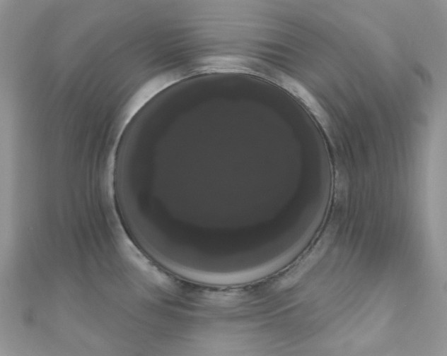 X0000111021386200907022149