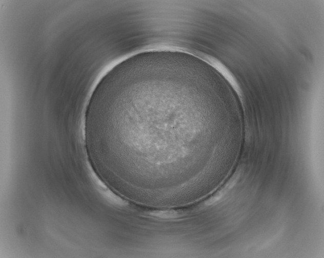 X0000111021388200907022149