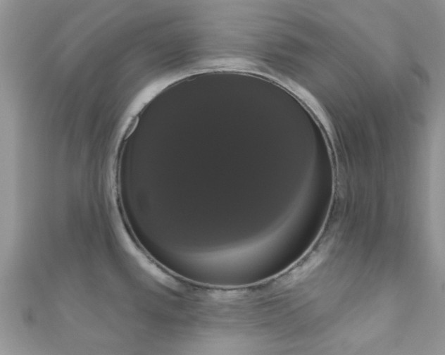 X0000111021389200907022149