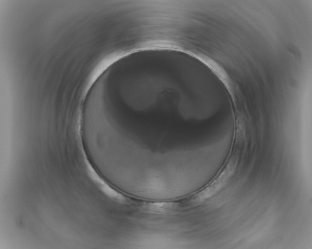 X0000111021390200907022149