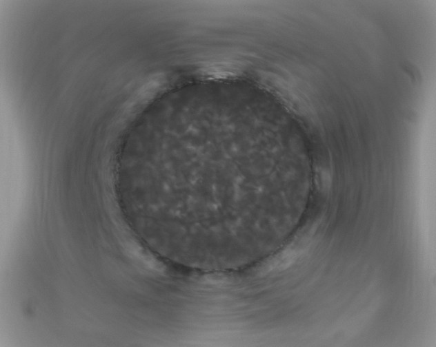 X0000111021393200907022148