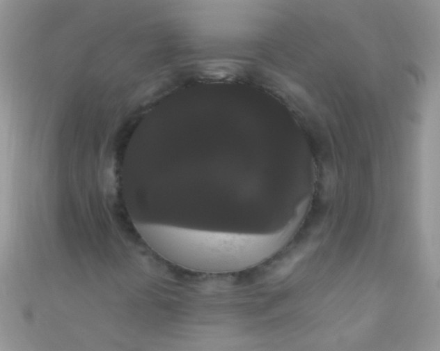 X0000111021394200907022148