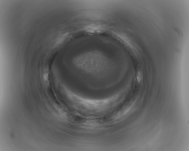X0000111021396200907022148