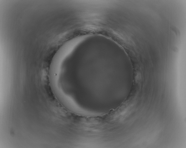 X0000111021397200907022148