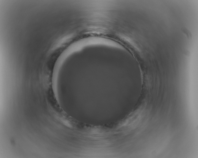 X0000111021399200907022148