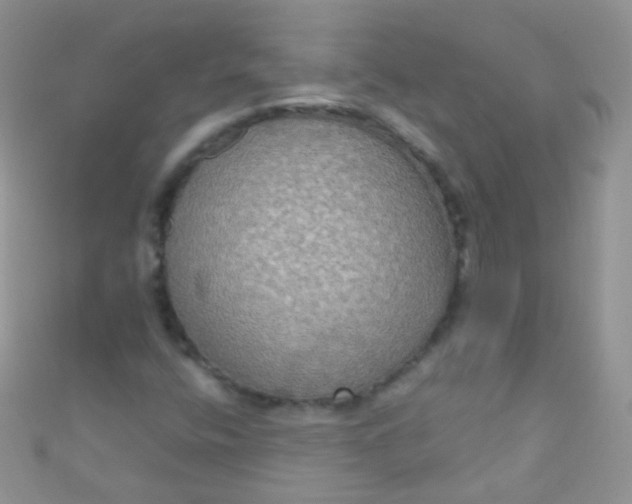 X0000111021400200907022148