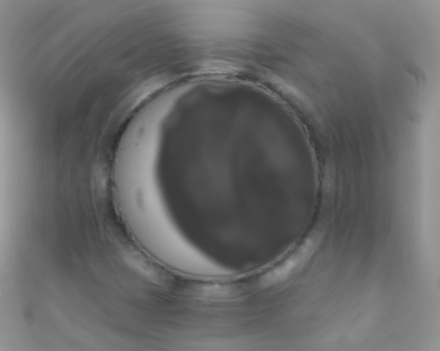 X0000111021401200907022148