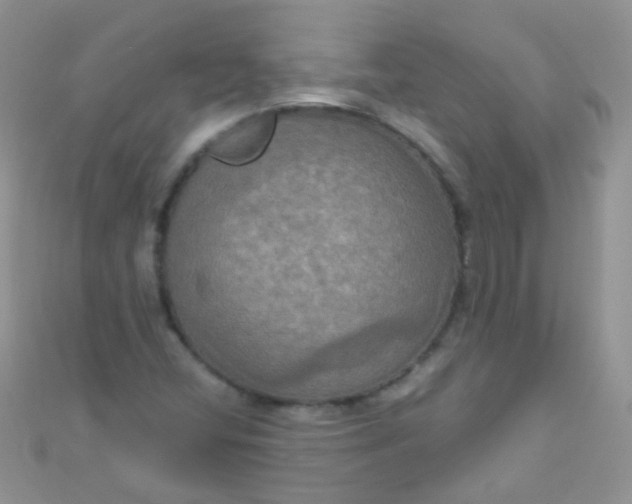 X0000111021404200907022148