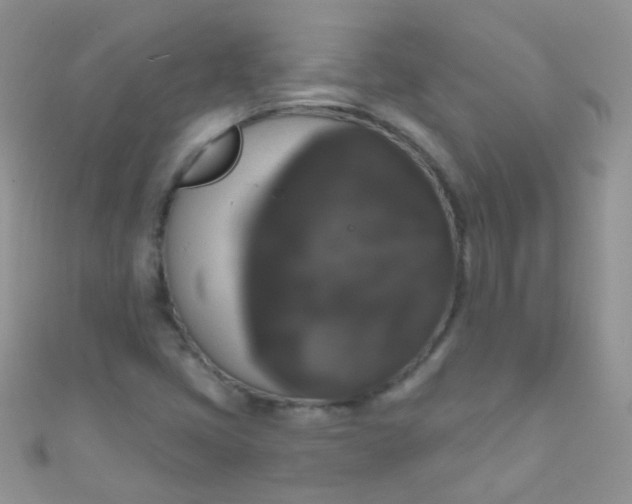 X0000111021405200907022148